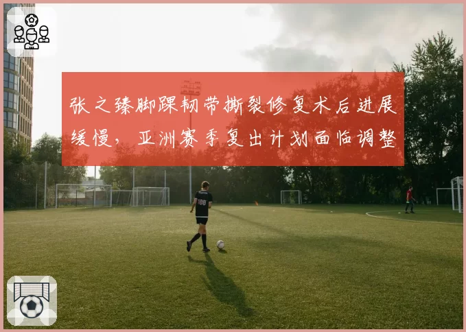 张之臻脚踝韧带撕裂修复术后进展缓慢，亚洲赛季复出计划面临调整