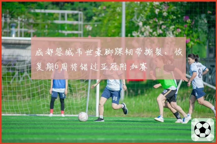 成都蓉城韦世豪脚踝韧带撕裂,恢复期6周将错过亚冠附加赛