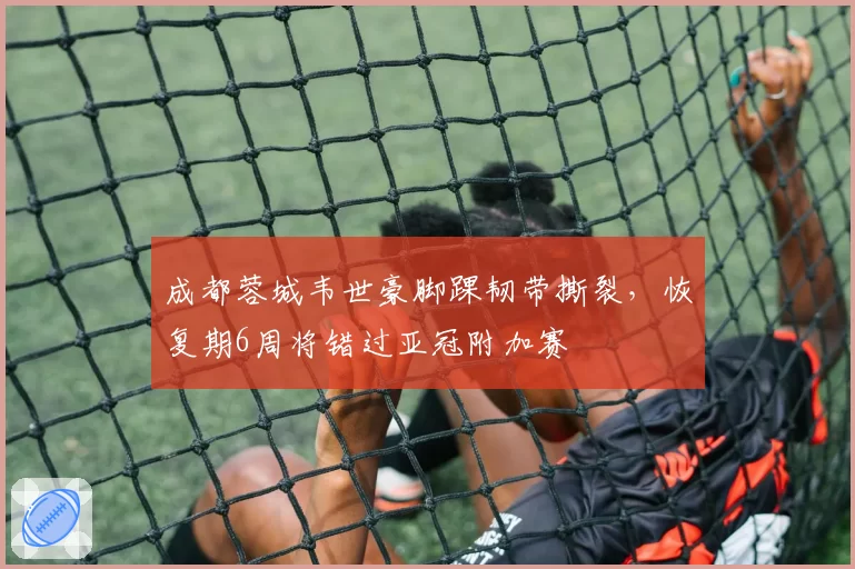 成都蓉城韦世豪脚踝韧带撕裂，恢复期6周将错过亚冠附加赛