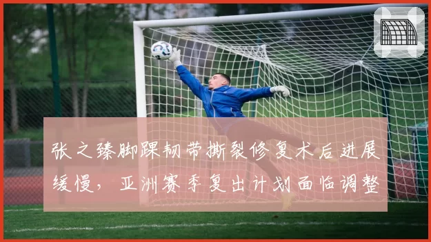 张之臻脚踝韧带撕裂修复术后进展缓慢，亚洲赛季复出计划面临调整