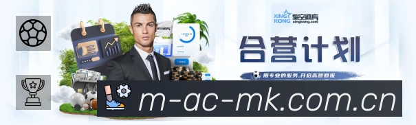 MK体育安全运营支持